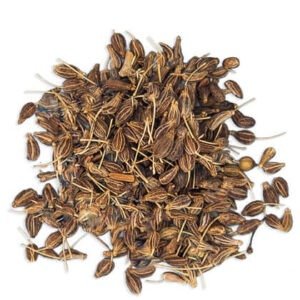 Aniseed of Egyptian origin Selling In bulk